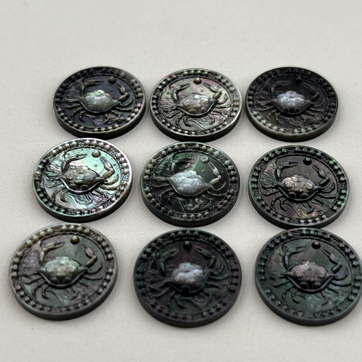 Black Shell Carving the Twelve Constellations of Cancer