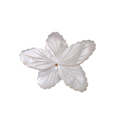 New Shell Flower White Butterfly Shell Carving DIY Hairpin Material Accessories Wholesale